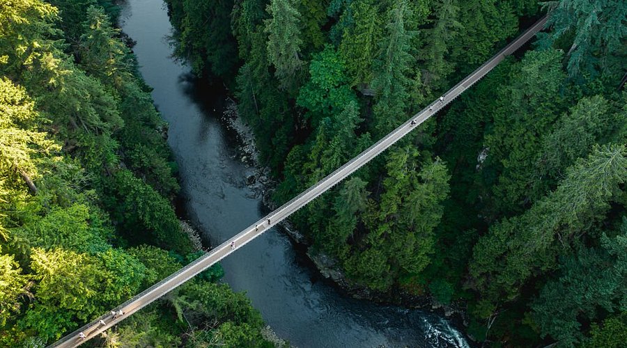 Capilano Suspension Bridge Park